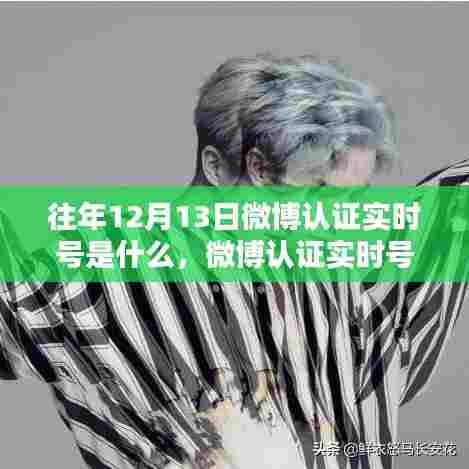 微博认证实时号查询指南，往年12月13日版操作教程，适合初学者与进阶用户