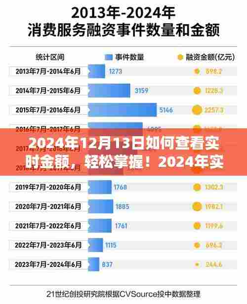 2024年实时金额查看指南,轻松掌握每日动态