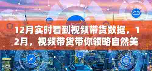 12月视频带货领略自然美景，启程内心的宁静之旅