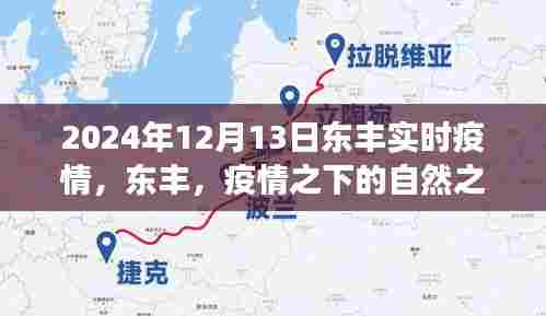 东丰疫情下的自然之旅，寻找内心的宁静与力量（实时更新）