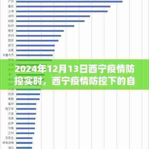 西宁疫情防控下的自然探索之旅，心灵洗涤与重生之旅（2024年12月13日实时报道）