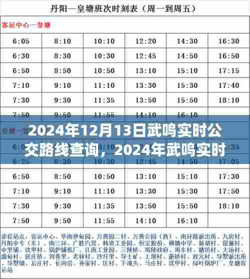 武鸣实时公交路线查询系统评测及最新路线更新