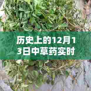 历史上的草药行情，探寻自然美景与内心平静的草药飘香日（12月13日）