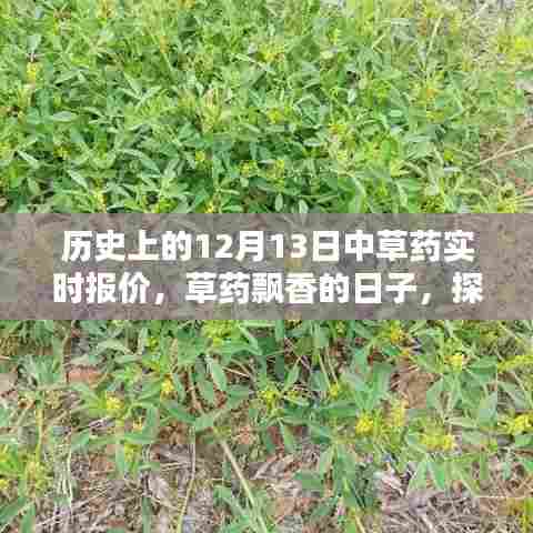 历史上的草药行情,探寻自然美景与内心平静的草药飘香日(12月13日)