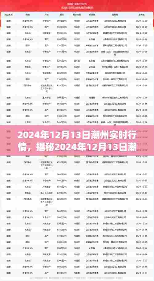 深度解析，潮州实时行情揭秘与商机洞察（2024年12月13日）