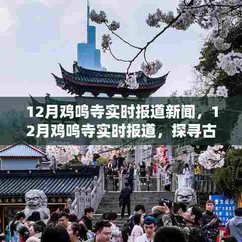 箪瓢陋室 第2页