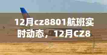 全面评测与介绍，12月CZ8801航班实时动态