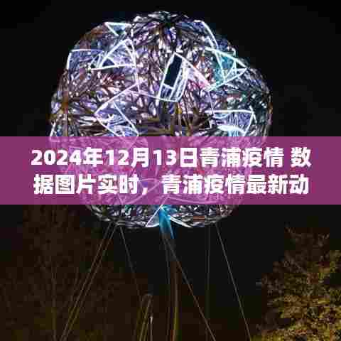 青浦疫情实时数据图片更新，最新动态与数据报告