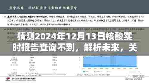 关于未来核酸实时报告查询的探讨，预测与解析2024年12月13日的查询无果现象。