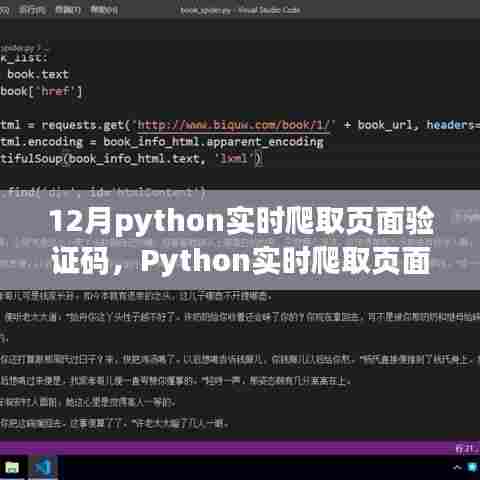 Python实时爬取页面验证码技术解析与操作指南