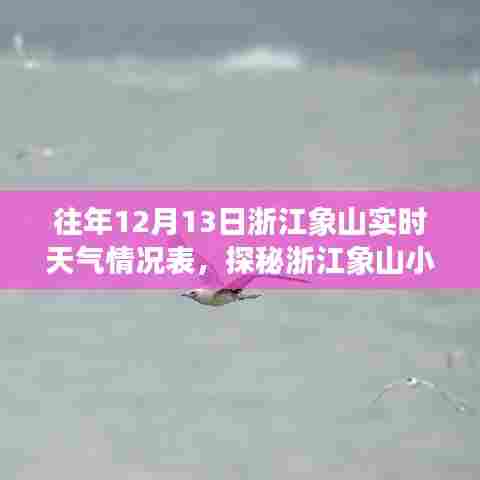 浙江象山实时天气与小巷特色小店探秘，隐藏在天气中的惊喜