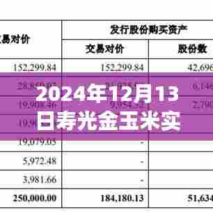 探寻寿光金玉米价格背后的故事，实时观察2024年12月13日寿光金玉米价格