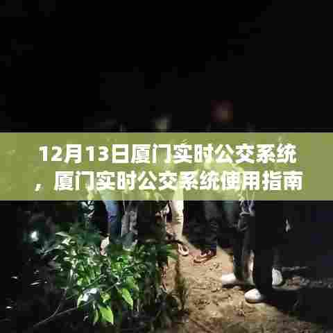 厦门实时公交系统使用指南，从初学者到进阶用户的全方位指南（12月13日更新）