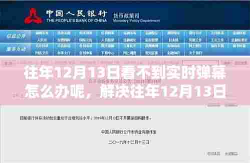 解决12月13日无法观看实时弹幕问题的方法指南