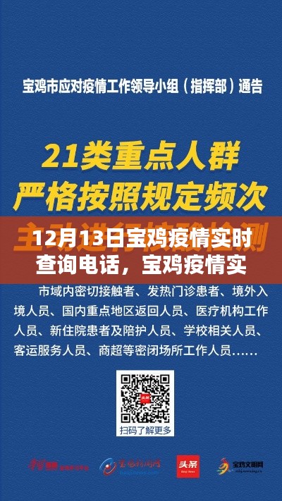 宝鸡疫情实时查询电话指南,初学者与进阶用户适用