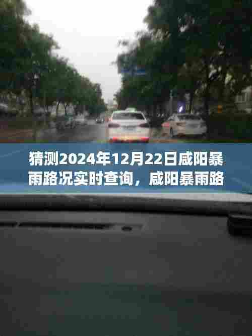 咸阳暴雨路况实时查询系统评测，精准预测未来交通信息，体验2024年12月22日咸阳暴雨路况新体验