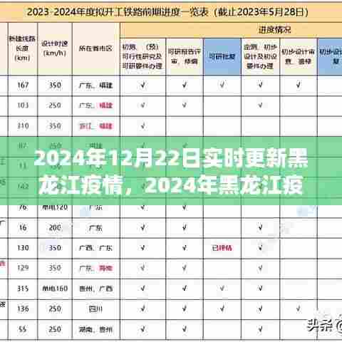 2024年黑龙江疫情实时更新报告，最新数据与信息汇总