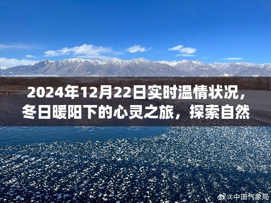 冬日暖阳下的心灵之旅，探索自然美景与温情时刻的交融