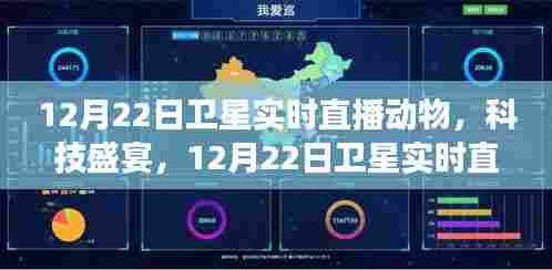 卫星直播科技盛宴,动物观察与未来科技体验日