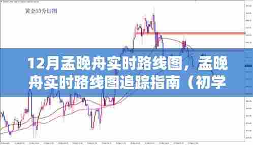 孟晚舟实时追踪指南，从初学者到进阶用户的全方位指南