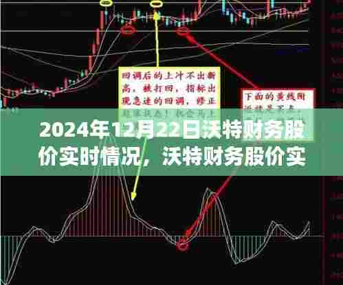沃特财务股价实时分析，聚焦2024年12月22日走势