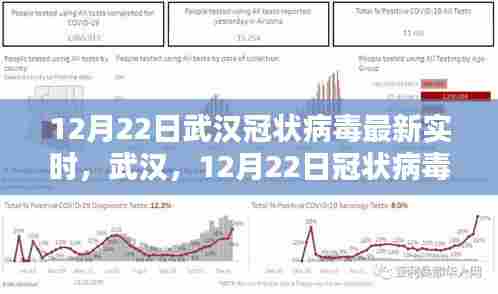武汉冠状病毒最新实时，阴霾下的新篇章（12月22日）