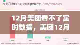 美团12月实时数据无法查看现象深度解析，特性、体验、对比及用户洞察