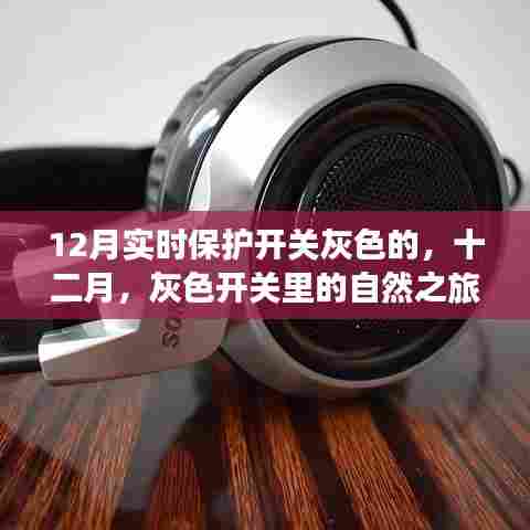 十二月灰色开关之旅，探寻内心宁静与平和的自然之旅