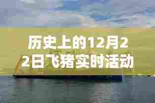 深度探究，历史上的飞猪实时活动未能上岛背后的原因揭秘