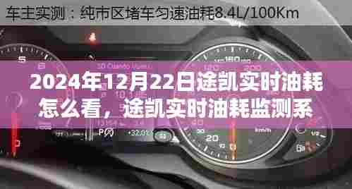 途凯实时油耗监测系统深度体验与评测，2024年12月22日的使用指南
