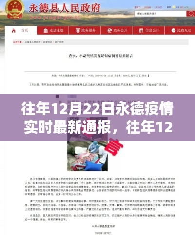 往年12月22日永德疫情实时最新通报,深度分析与介绍
