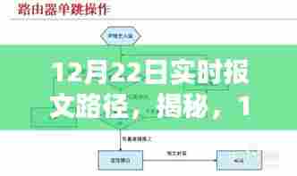 揭秘，12月22日实时报文路径的奥秘及其实际应用解析