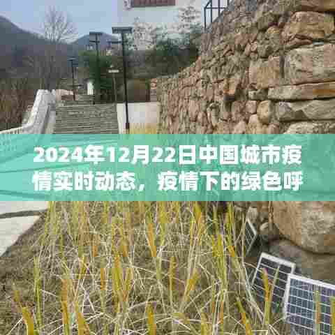 2024年12月22日中国城市疫情实时动态,疫情下的绿色呼吸与自然的邂逅