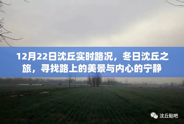 冬日沈丘之旅,实时路况与美景探寻,心灵宁静之旅