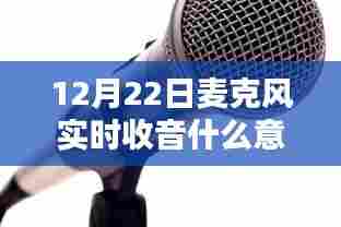 贵险贱璧 第4页