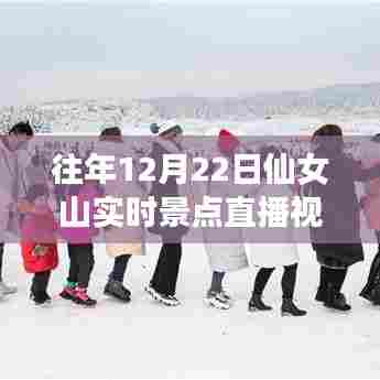仙女山探秘，与自然共舞，领略冬日美景的直播魔法
