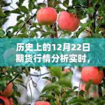 历史上的12月22日期货行情实时分析与预测