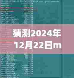 Mybits实时更新缓存操作指南，猜测2024年12月22日的操作详解与步骤指南（适用于初学者与进阶用户）