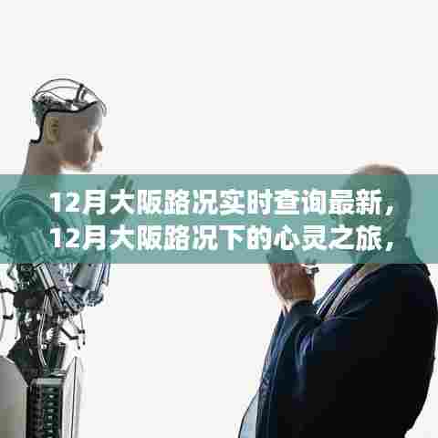 12月大阪路况下的心灵之旅,实时路况查询与路上的宁静美景探索