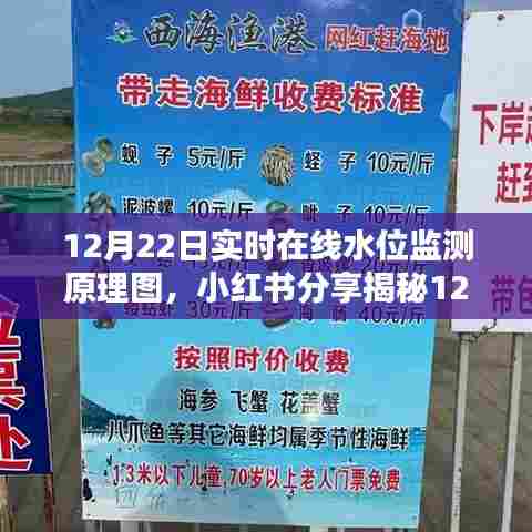 揭秘实时在线水位监测原理图，掌握技术，保障水资源安全