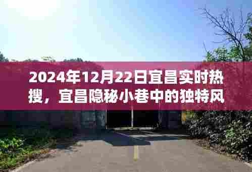 宜昌隐秘小巷特色小店揭秘,独特风味背后的神秘面纱(实时热搜)