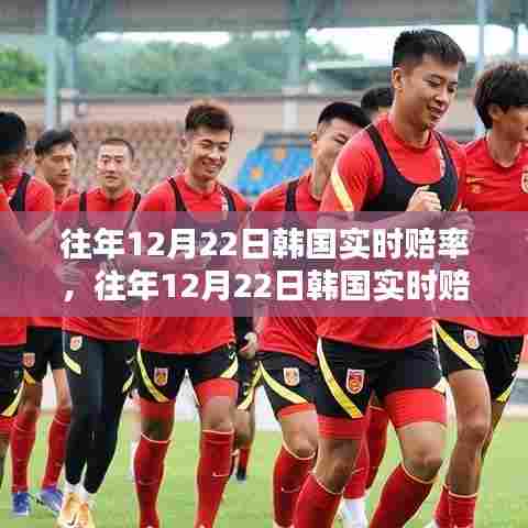 往年12月22日韩国实时赔率深度解析，洞悉胜算背后的秘密揭秘之战
