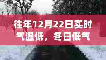 冬日暖心之旅，低温下的不期而遇的自然美景