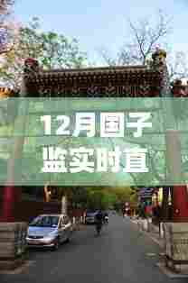 探秘国子监直播秘境，十二月实况直播之旅