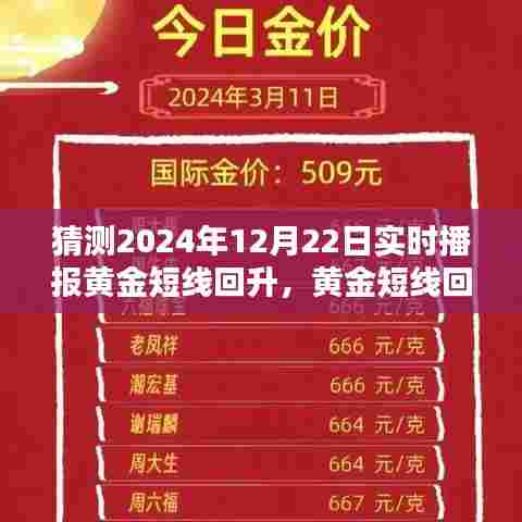 未来科技引领黄金投资新纪元,黄金短线回升实时播报分析预测,2024年12月22日市场动向观察