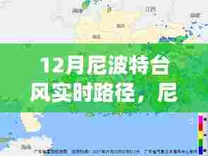 尼波特台风下的奇妙故事，隐秘小巷与特色小店的邂逅