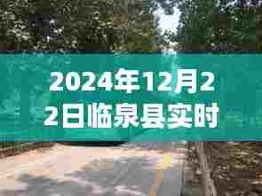 临泉县公交新航线,追寻自然美景的诗意旅程,远离尘嚣的临泉探秘之旅(实时路线图)