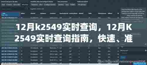 12月K2549实时查询指南,快速掌握物流信息