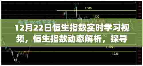 12月22日恒生指数实时学习回顾,深度解析市场动态,探寻市场脉络