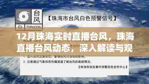珠海台风实时直播,深度解读与观点阐述